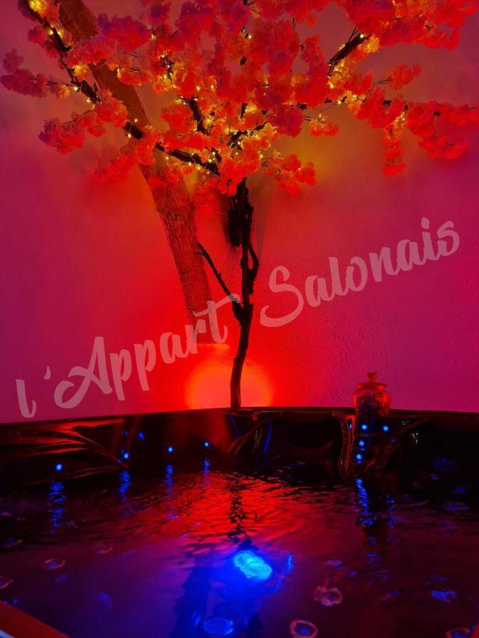 Lappart-salonais 70m2 Avec Jacuzzi Privatif Salon-de-Provence